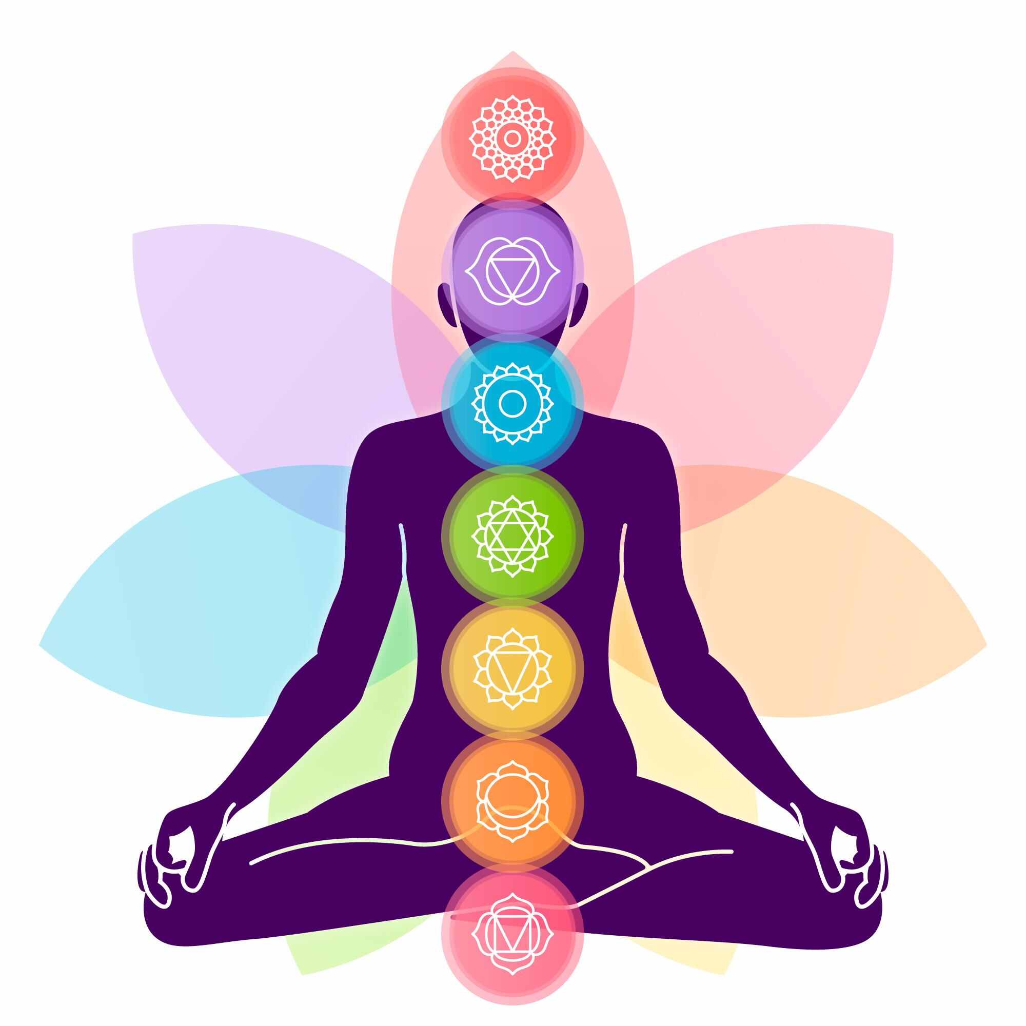 Yoga Meditation Naturopathy